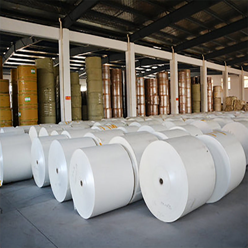 PE coated paper in roll